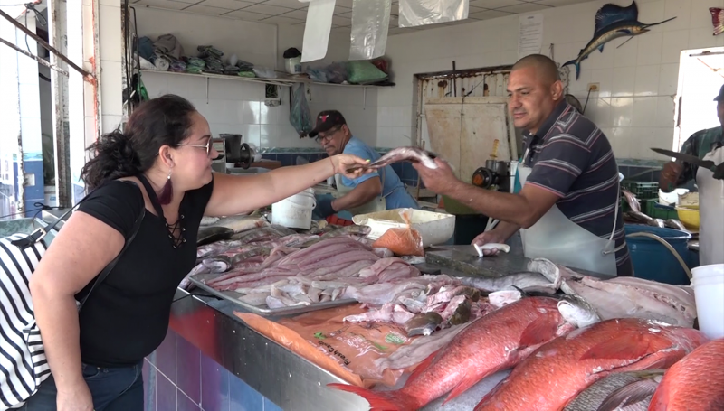 Aumentan Ventas De Pescados Y Mariscos Sinaloa Noticias TVP