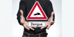Conoce más sobre la vacuna contra el dengue