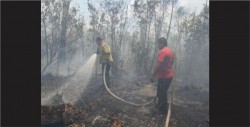 Se incendia reserva de Dzilam en Yucatán