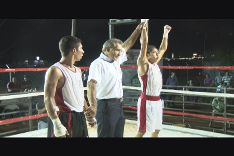 Celebran Torneo Guantes de Oro en Box Amateur
