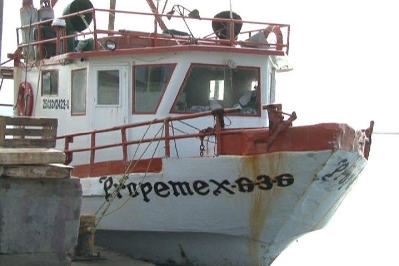 Huracanes afectan la pesca del Tibur4ón