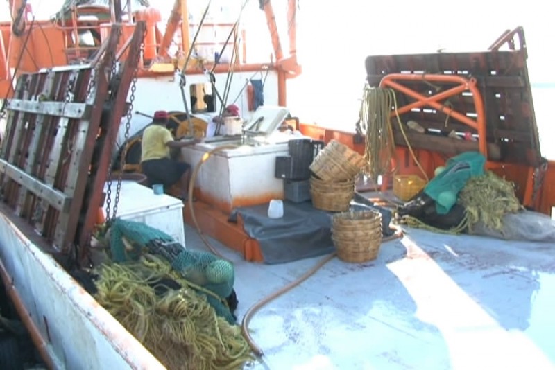 Flota pesquera registra baja producción de camarónde altamar: Canainpesca