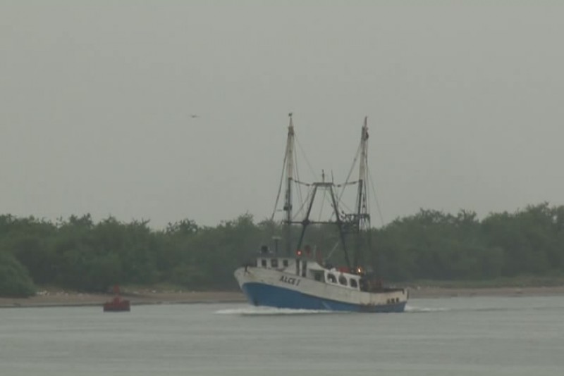 Flota camaronera se resguarda en puerto por mal tiempo de "Vance"