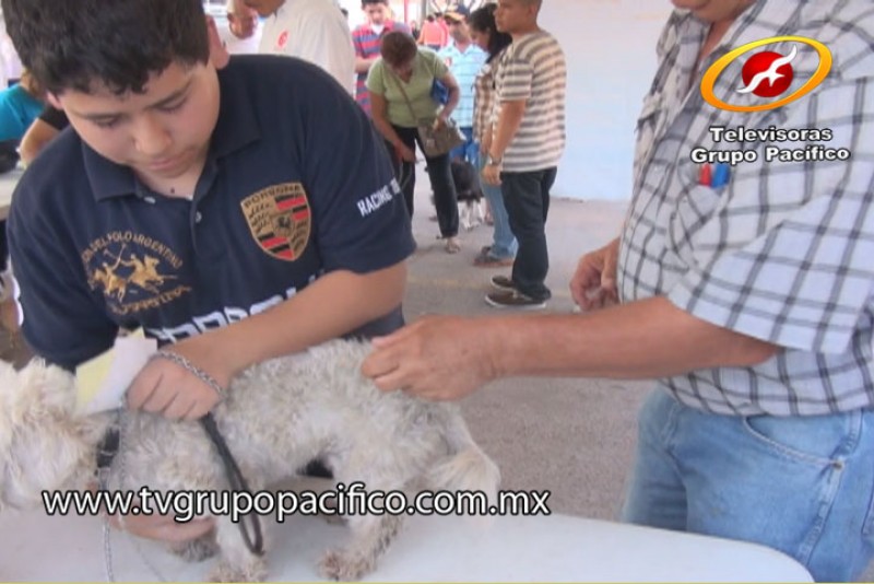 Invitan a participar en Quinta Campaña del Garrapatón