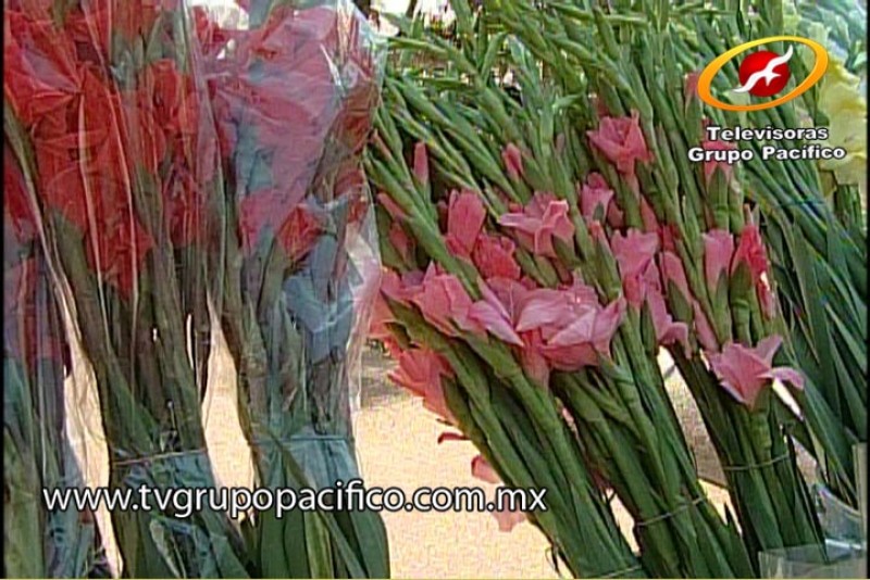 Listos los puestos de flores en la calzada