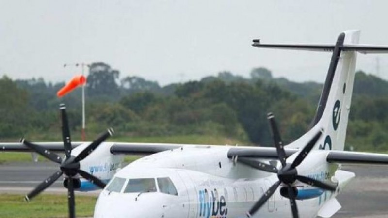 Abeja obliga a avión a regresar al aeropuerto