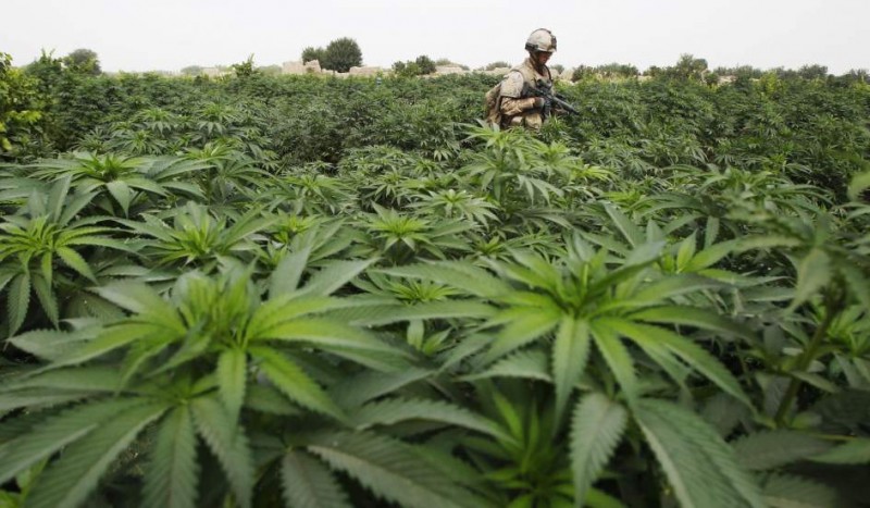 La ONU cifra en 187 mil 100 las muertes en el mundo debido al consumo de drogas