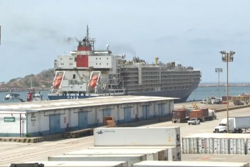 Llega vía marítima hato ganadero a Mazatlán