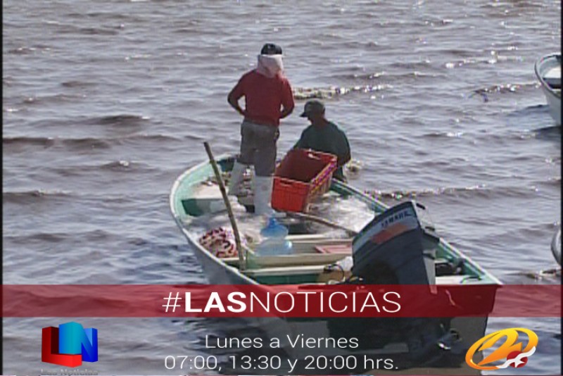 Se levanta veda para captura de Jaiba