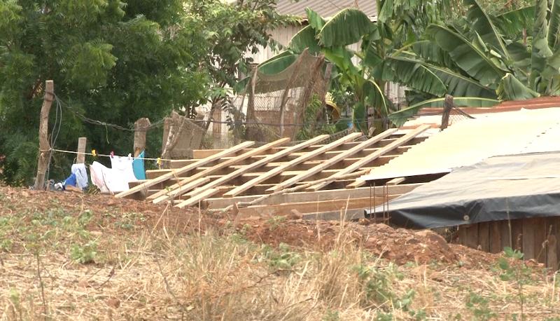 Techos destruidos, árboles caidos y afectaciones en la energía eléctrica fueron los estragos que dejó la lluvia en Mazatlán.