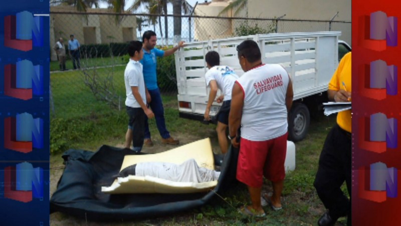 Por la playa del delfín apareció delfín herido