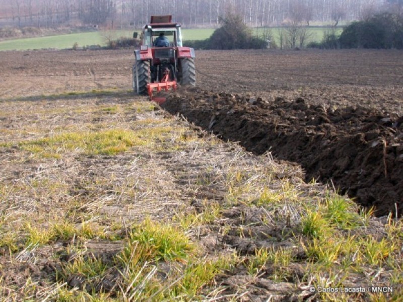La agricultura ecológica ayudará a luchar contra el cambio climático...