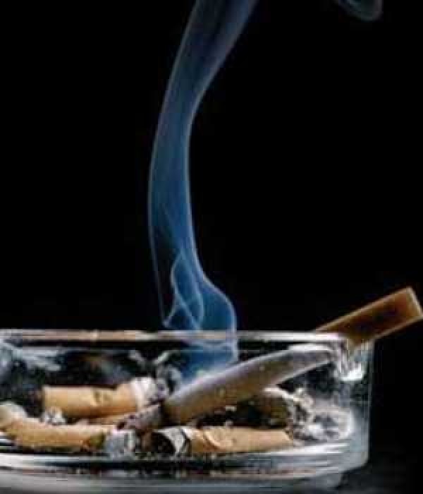 La OMS pide que se prohíba fumar en las casas con niños ...