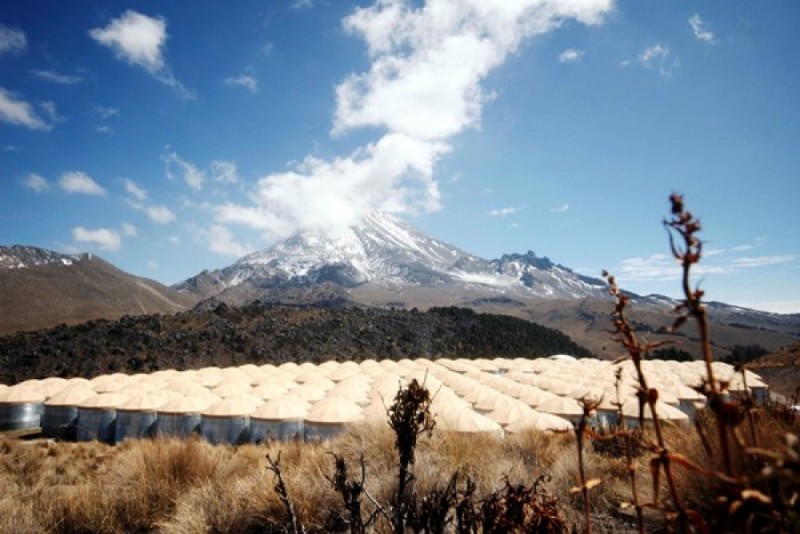 Madre y sus cinco hijos fallecen por deslave en las faldas del Pico de Orizaba