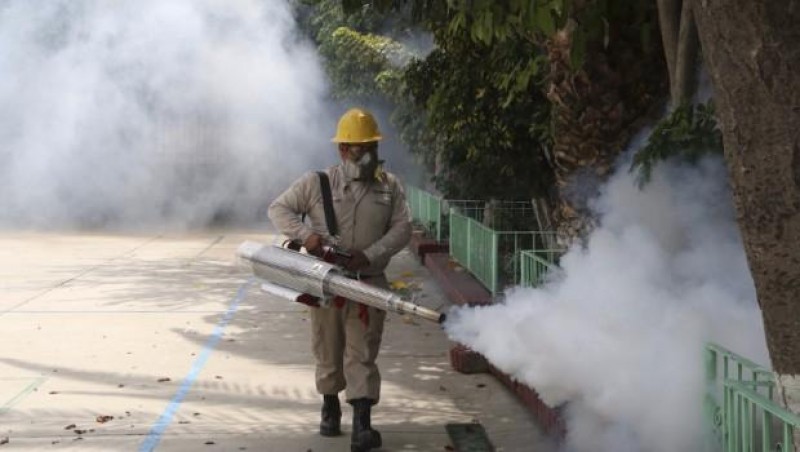 Declaran alerta sanitaria en Sonora por brote de dengue