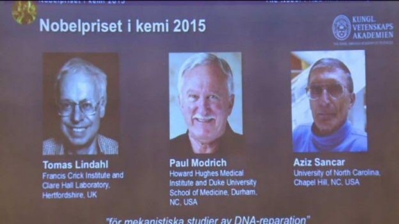 Tres investigadores ganan el Nobel de Química 2015 por estudios del ADN
