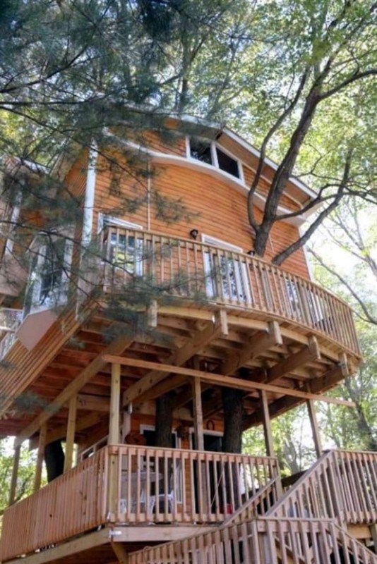Construye casa de árbol ¡de tres pisos!