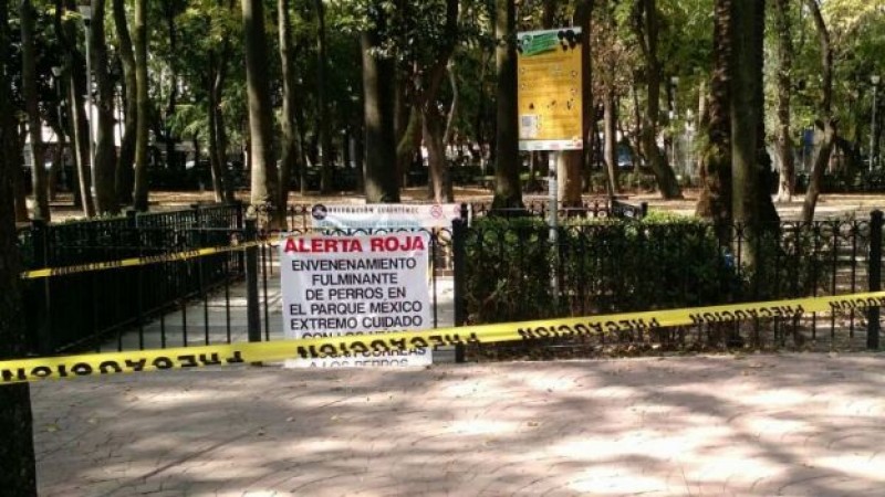Anciana, experta en químicos, podría ser la 'Mataperros'