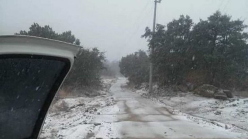 Cae la primera nevada de la temporada en Sonora