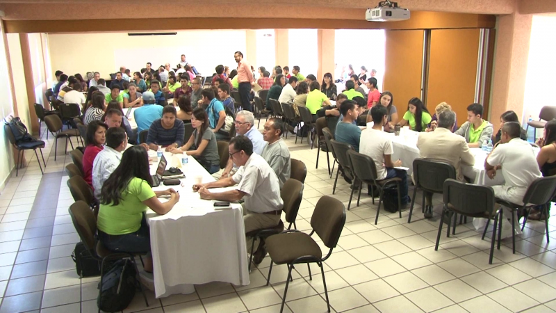 Buscan modificar el Reglamento de Protección al Medio Ambiente de Mazatlán
