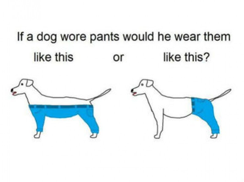 'Pantalones para perro' divide opiniones en Twitter