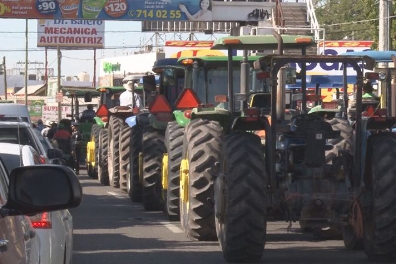 Pagaránadeudos a productores agricolas de Sinaloa en especie
