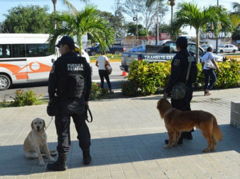 Cinco ciudades mexicanas salen de lista de las más violentas