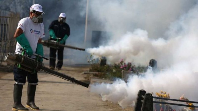 Perú reporta primer caso importado de virus de zika