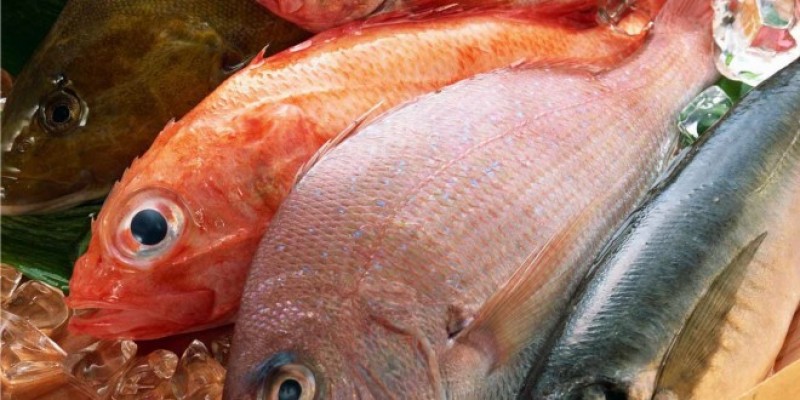 Garantiza SAGARPA abasto de pescados y mariscos durante la cuaresma.