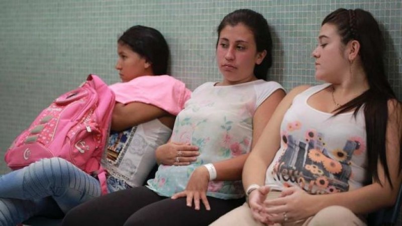 OMS: Aumentan evidencias que apuntan a vínculo entre zika y microcefalia