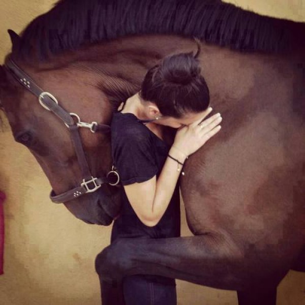 Los caballos pueden leer nuestra expresión facial y asociarla con emociones humanas