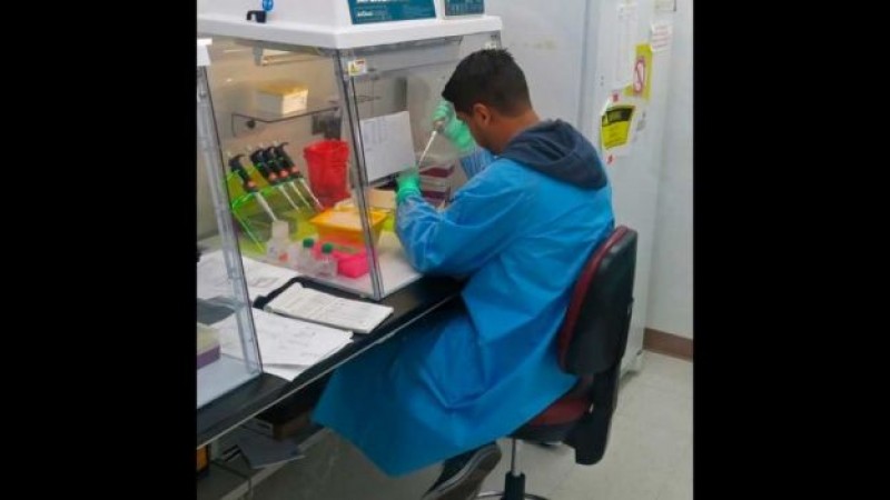 OMS: Vacunas contra zika pueden llegar tarde para brote en Latinoamérica