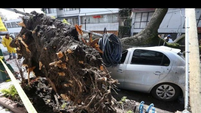 Protección Civil: Cinco muertos y 35 heridos, tras 48 horas de mal tiempo
