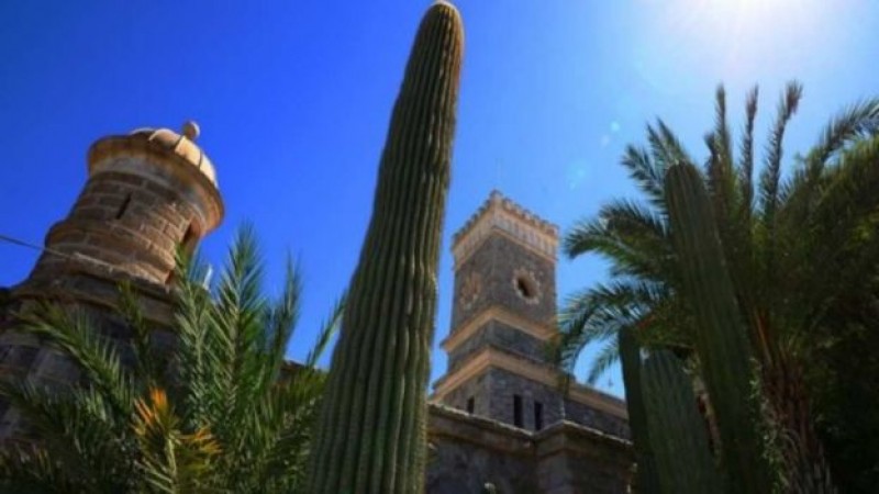 Superará los 40 grados varios estados de nuestro país
