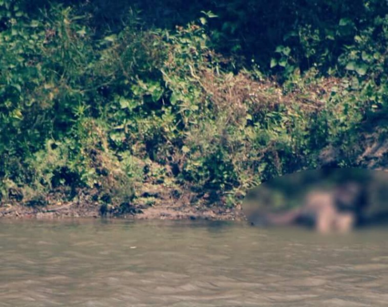 Cuerpo de menor desaparecido es encontrado flotando en el rio Presidio.