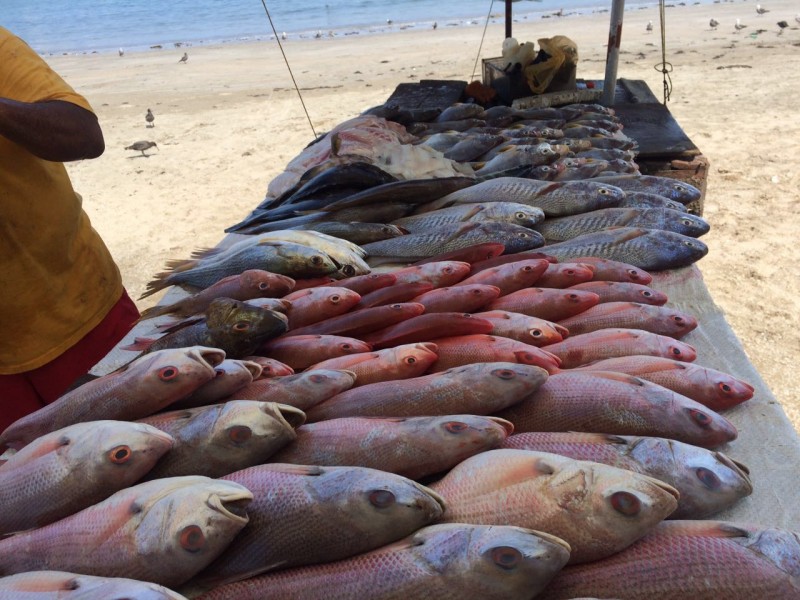 Poca demanda de pescado en Mazatlán.