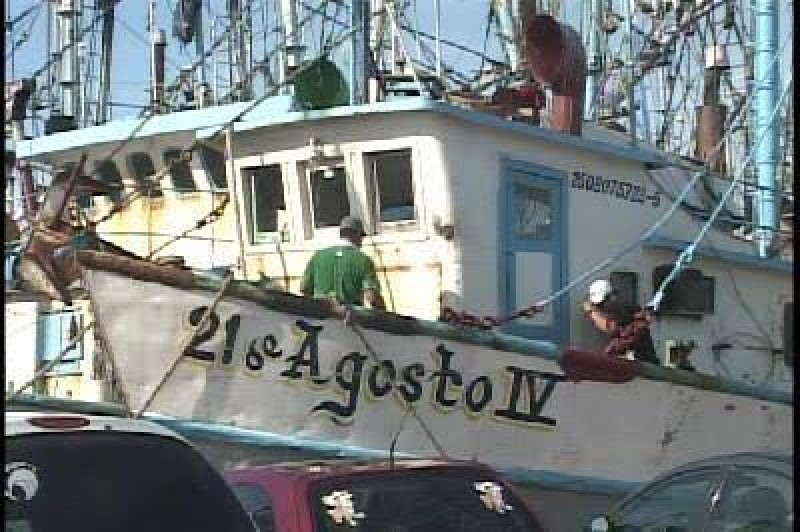 A punto de iniciar empleo temporal para pescadores.