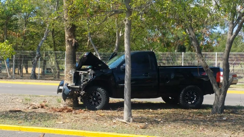 Camioneta se impacta con palmera del camellón