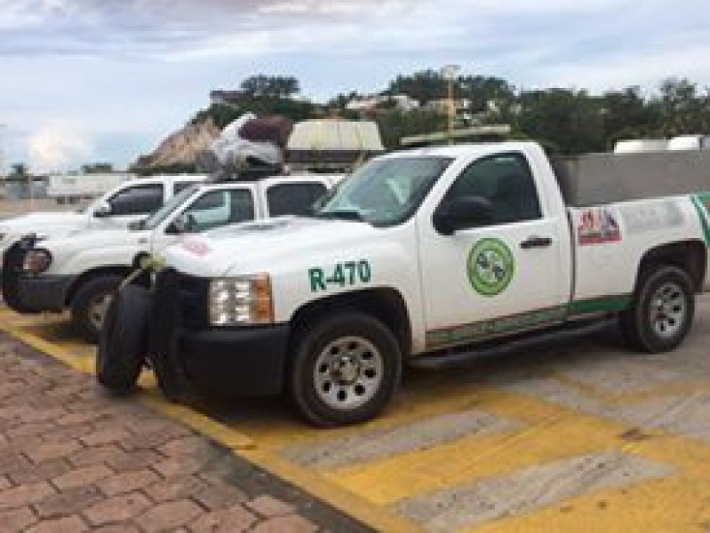 Balance positivo de Ángeles Verdes.