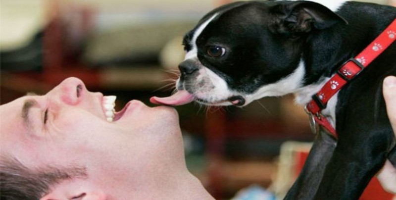 La ciencia explica por qué no deberías besar a tu perro