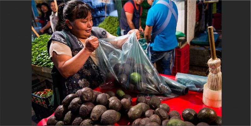 Rechazan primer cargamento de aguacate de Jalisco a E.U