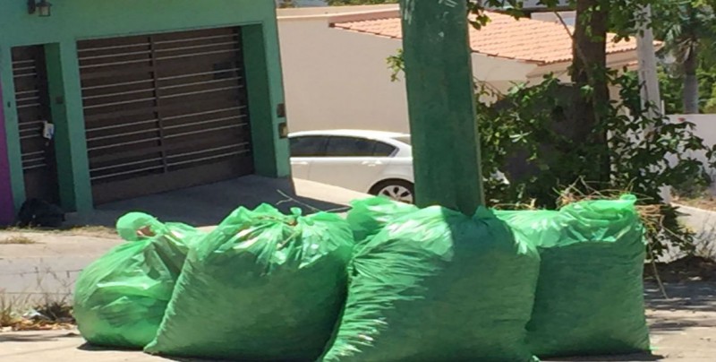 Continúa el problema de recolección de basura