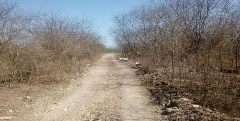 Sigue la violencia, localizan una persona sin vida