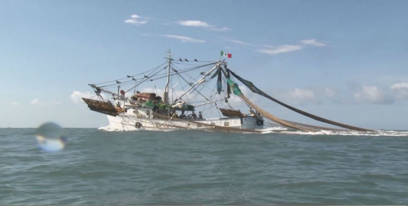 Reducen los apoyos de Propesca para los pescadores de Altamar