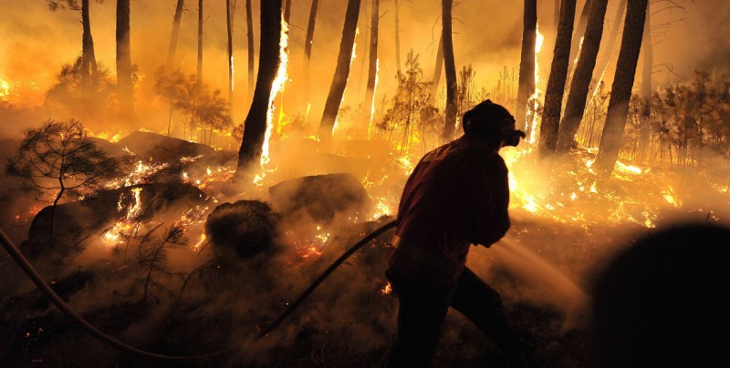 Incendio en Portugal deja 62 muertos