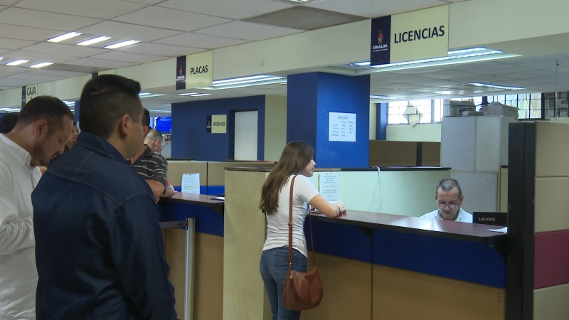 Llegan plásticos para expedición de licencias