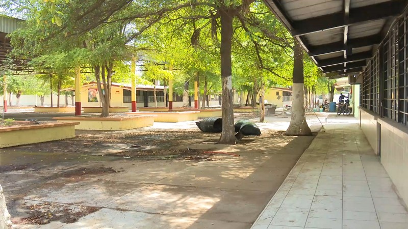 Buscan que escuelas en Ahome queden libres de moscos