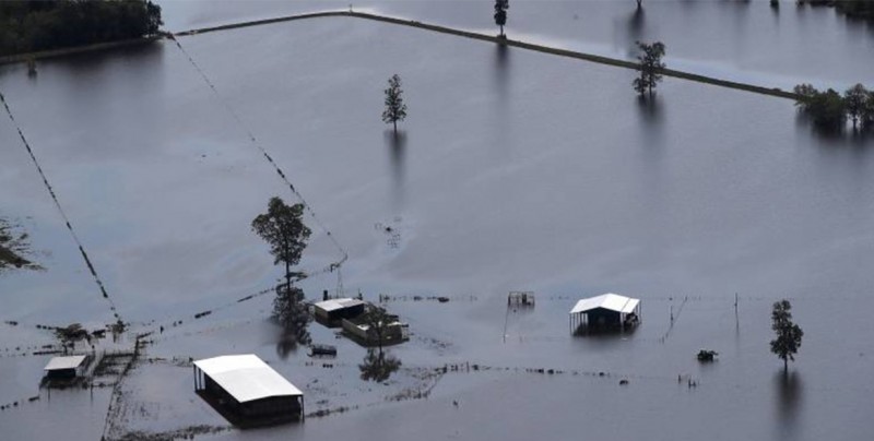 Los Desastres Que Ha Provocado El Huracán Irma Internacional Noticias Tvp Tvpacificomx 1097