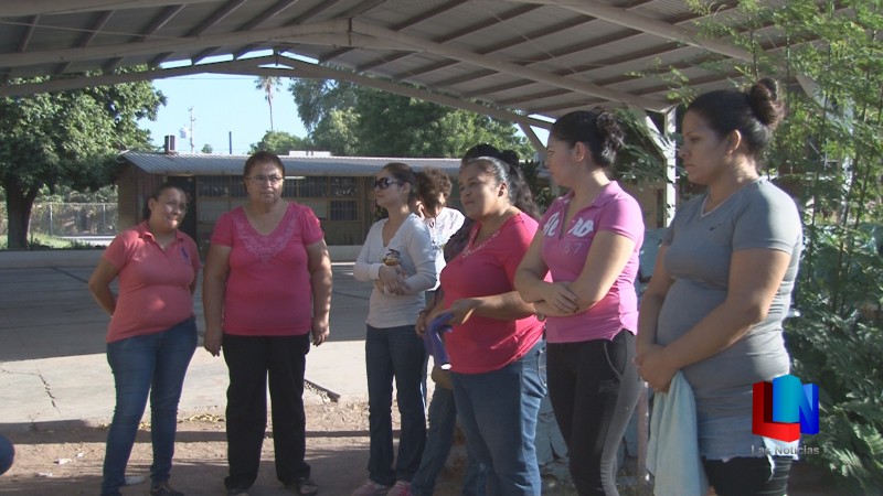 Padres temen por crías de culebra en primaria