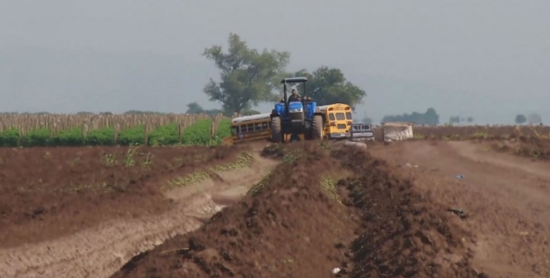 Amplían plazo de registro de Procampo